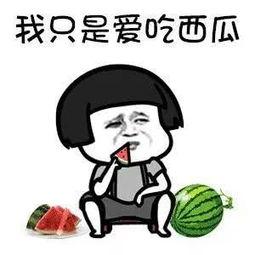 娱乐吃瓜摸鱼,摸鱼时光里的娱乐揭秘