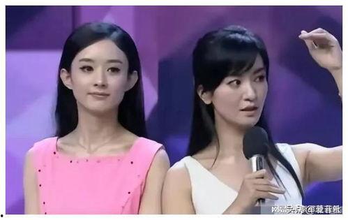 娱乐圈吃瓜爆料紫色兔子,紫色兔子背后的惊人真相