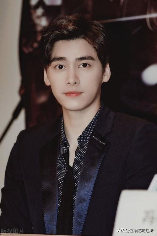 李易峰娱乐圈吃瓜爆料,揭秘明星幕后真相  第3张